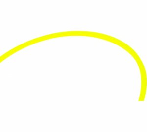 Корд триммерный Star (2.4 мм; 12 м; звезда) CHAMPION (C5025)