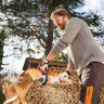 Аккумуляторная пила STIHL MSA 70 C-B SET (MA040115830р)  